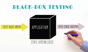 Black Box Testing